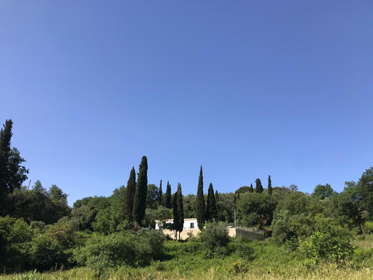 Villa Coco , Un Lieu Convivial Où Se Ressourcer. *